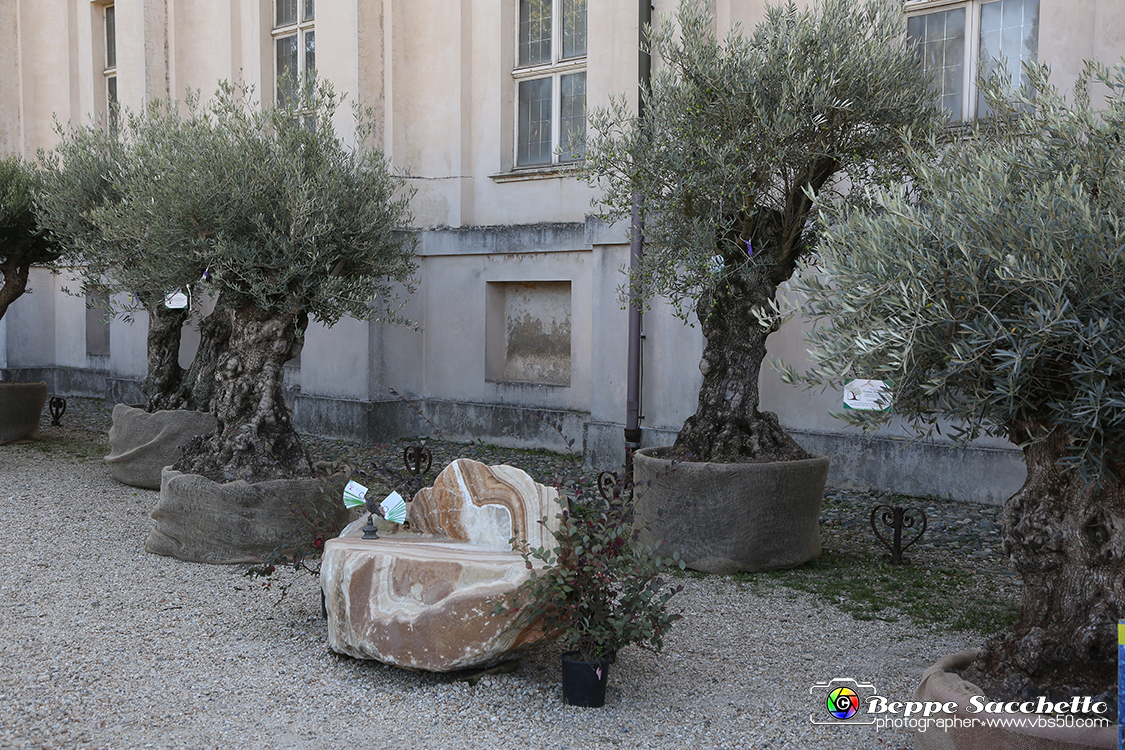 VBS_2368 - FloReal 2021 alla Palazzina di Caccia di Stupinigi.jpg
